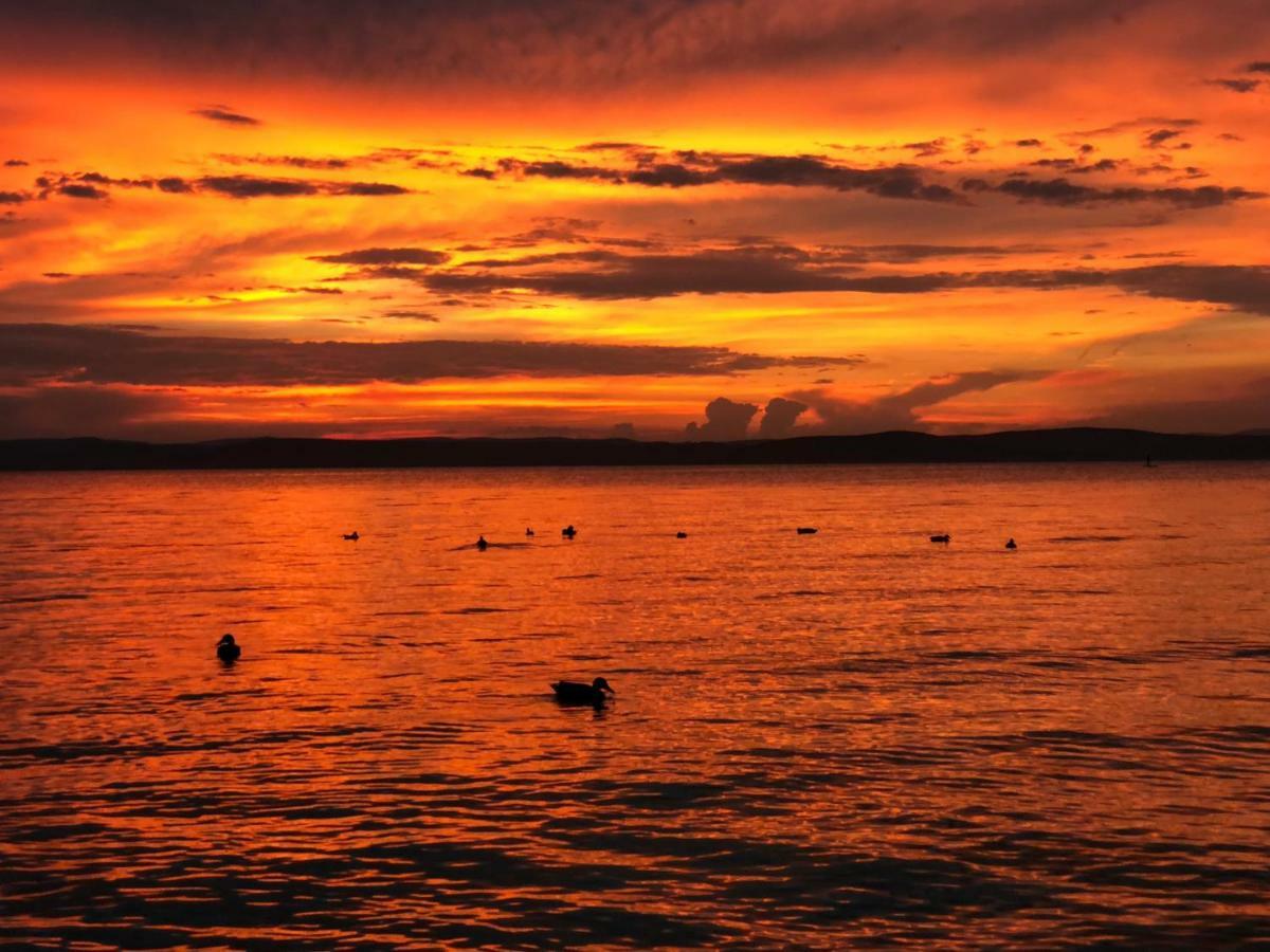 Siófoki Vízparti Nyaraló - Lake Side Apartman Kültér fotó